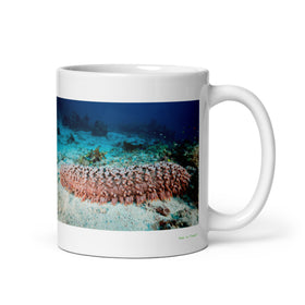 11 oz. white ceramic sea cucumber mug showing a sea cucumber in its natural habitat