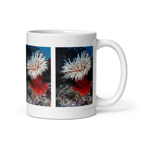 11 oz. white ceramic sea anemone mug showing a sea anemone in its natural habitat