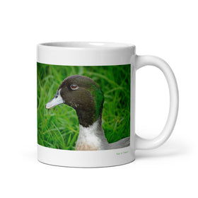 11 oz. white ceramic duck mug showing a duck in its natural habitat
