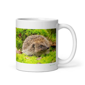 11 oz. white ceramic hedgehog mug showing a hedgehog in its natural habitat