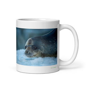 11 oz. white ceramic seal mug showing a seal in its natural habitat