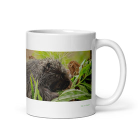 11 oz. white ceramic porcupine mug showing a porcupine in its natural habitat
