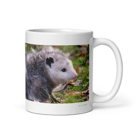 11 oz. white ceramic opossum mug showing an opossum in its natural habitat