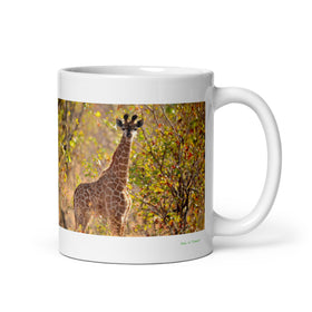 11 oz. white ceramic giraffe mug showing a giraffe in its natural habitat
