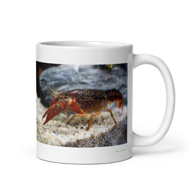 11 oz. white ceramic lobster mug showing a lobster in its natural habitat