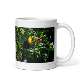 11 oz. white ceramic toucan mug showing a toucan in its natural habitat