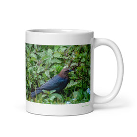 11 oz. white ceramic cowbird  mug showing a cowbird in its natural habitat