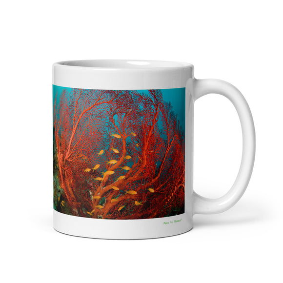 The Silent Builders of the Reef