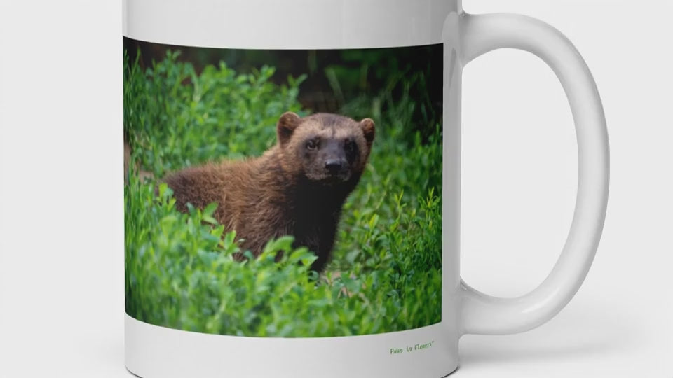 6a5195fb3dfe43fe977e88a80470bf07