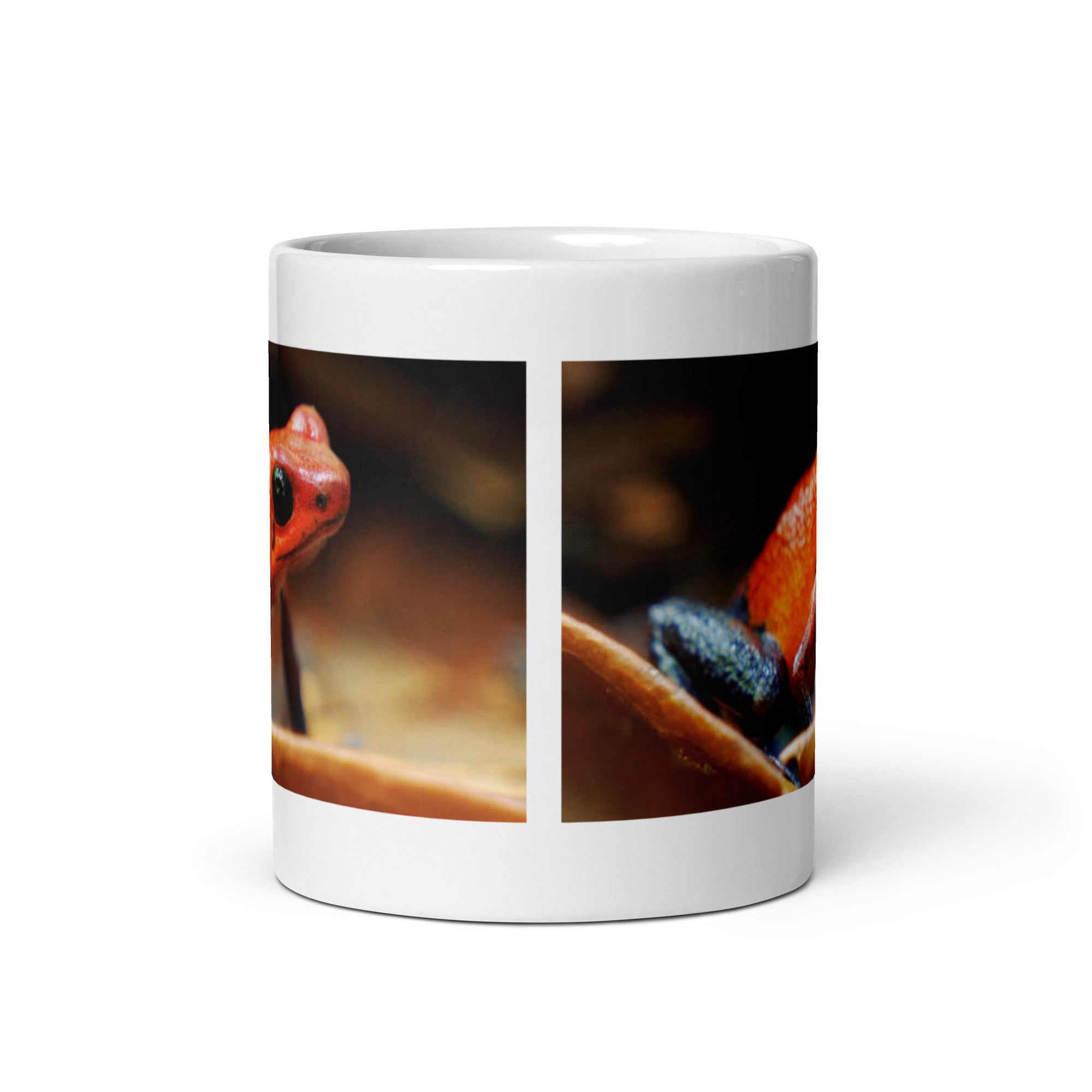 "Poison Frog Mug #1: Vibrant Colors, Powerful Nature (Ceramic)"