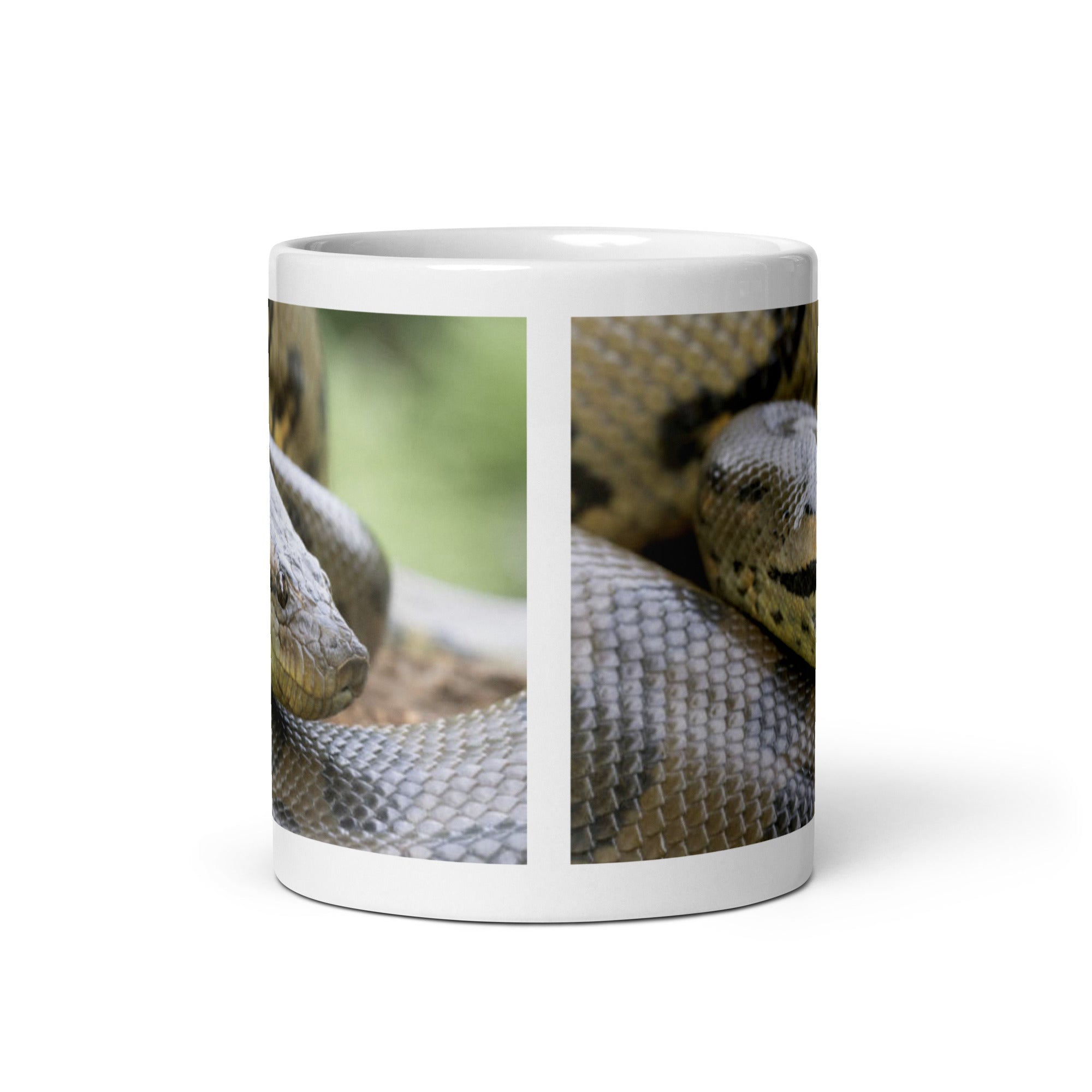 "Anaconda Mug #1: Power and Mystery of the Rainforest  (Ceramic)"