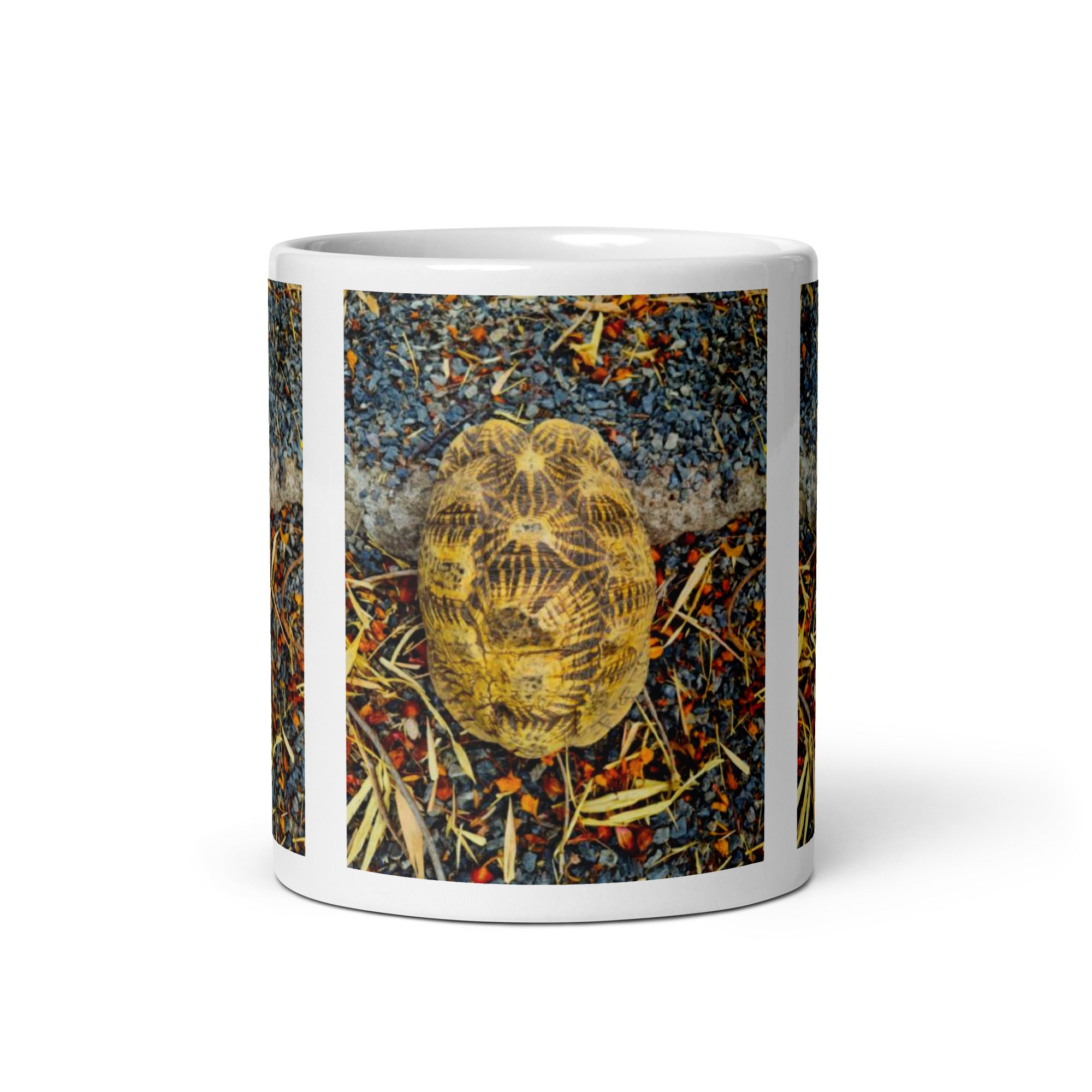 "Geometric Tortoise Mug #1:  Elegance of Nature’s Geometry  (Ceramic)"