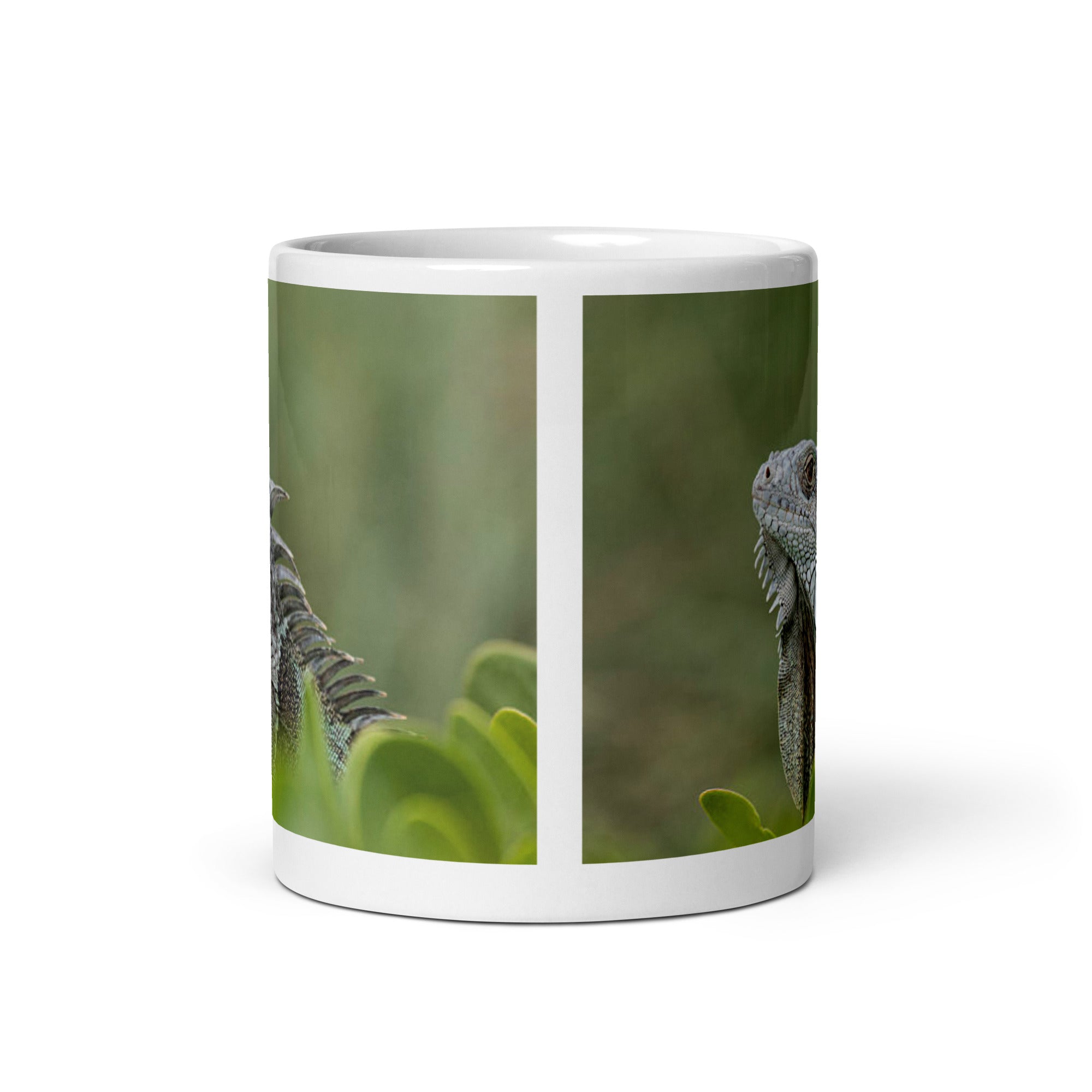 "Iguana Mug #1: Grace and Serenity of the Tropics (Ceramic)"