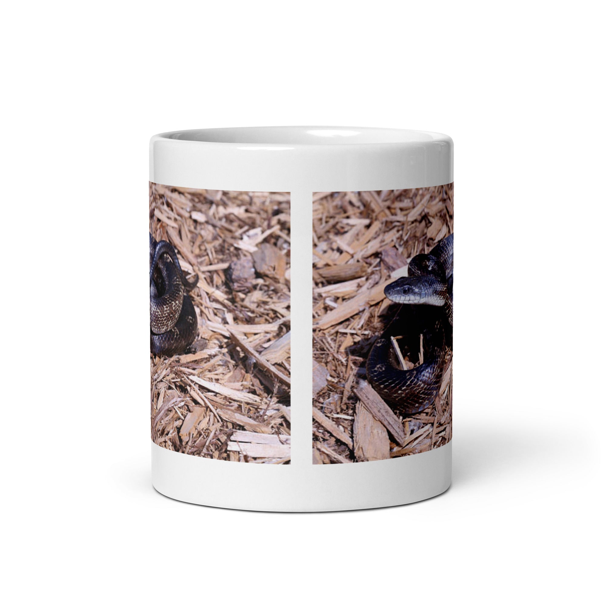 "Rat Snake  Mug #1: Grace and Adaptability of the Wild  (Ceramic)"