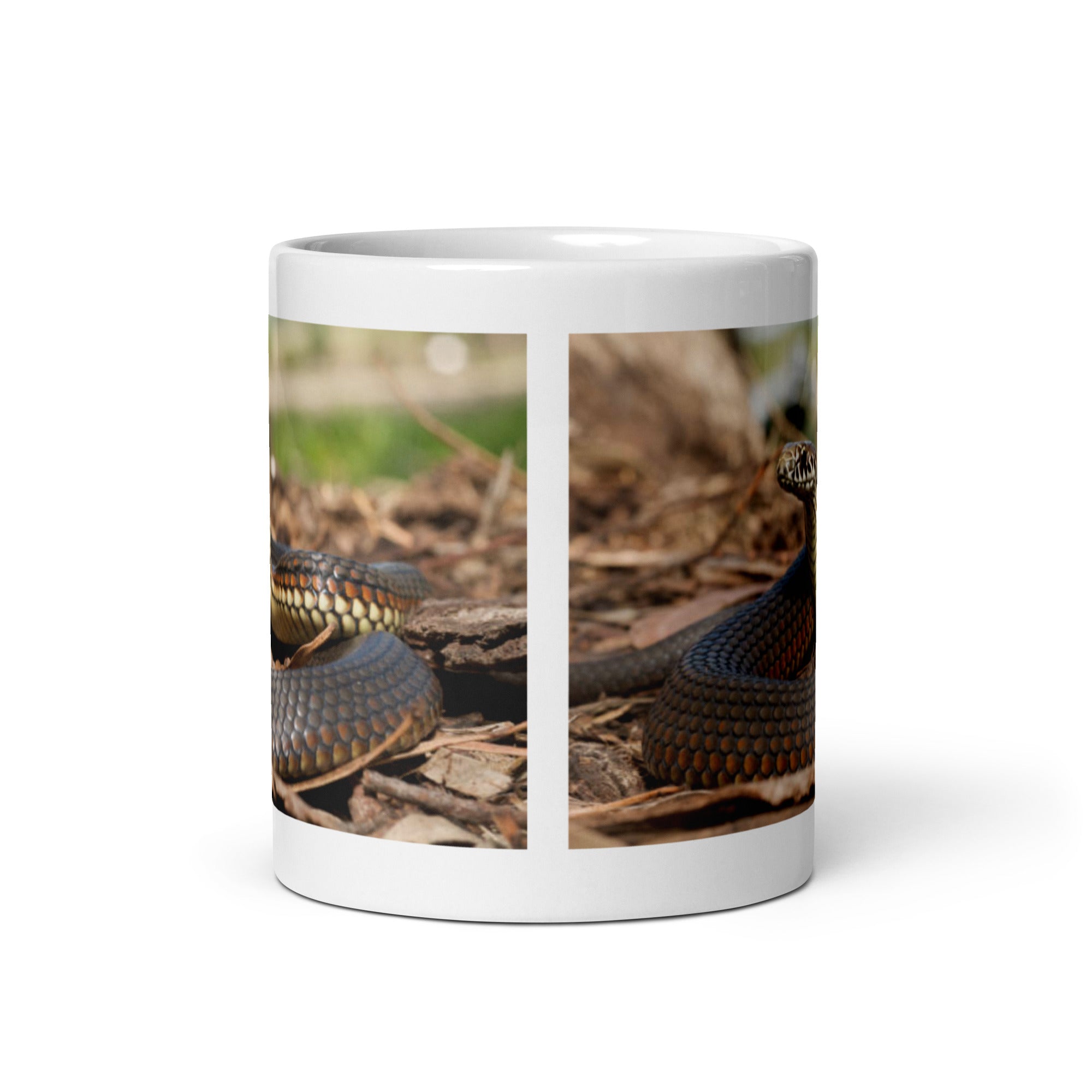 "Snake Mug #1:  Elegance and Mystery of the Reptile World  (Ceramic)"