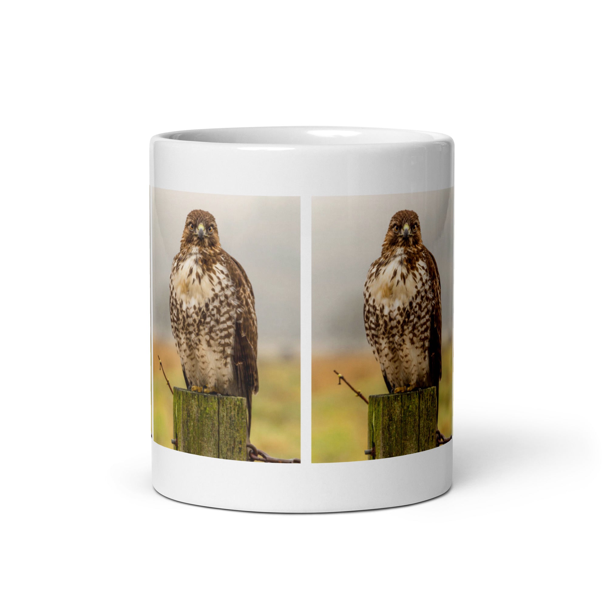 "Hawk Mug #1: The Sharp-Eyed Hunter (Ceramic)"