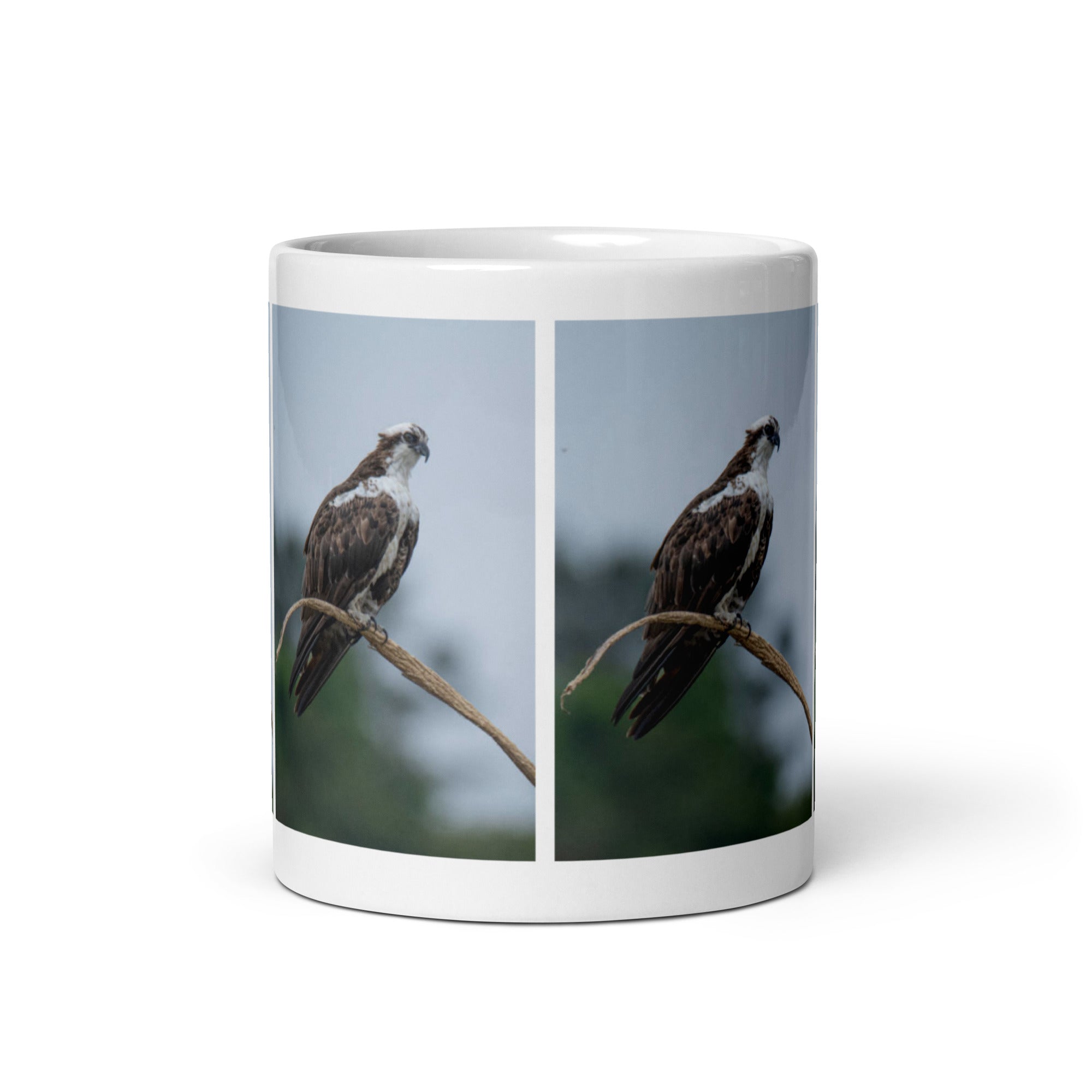 "Osprey Mug #1: The Daring Diver (Ceramic)"