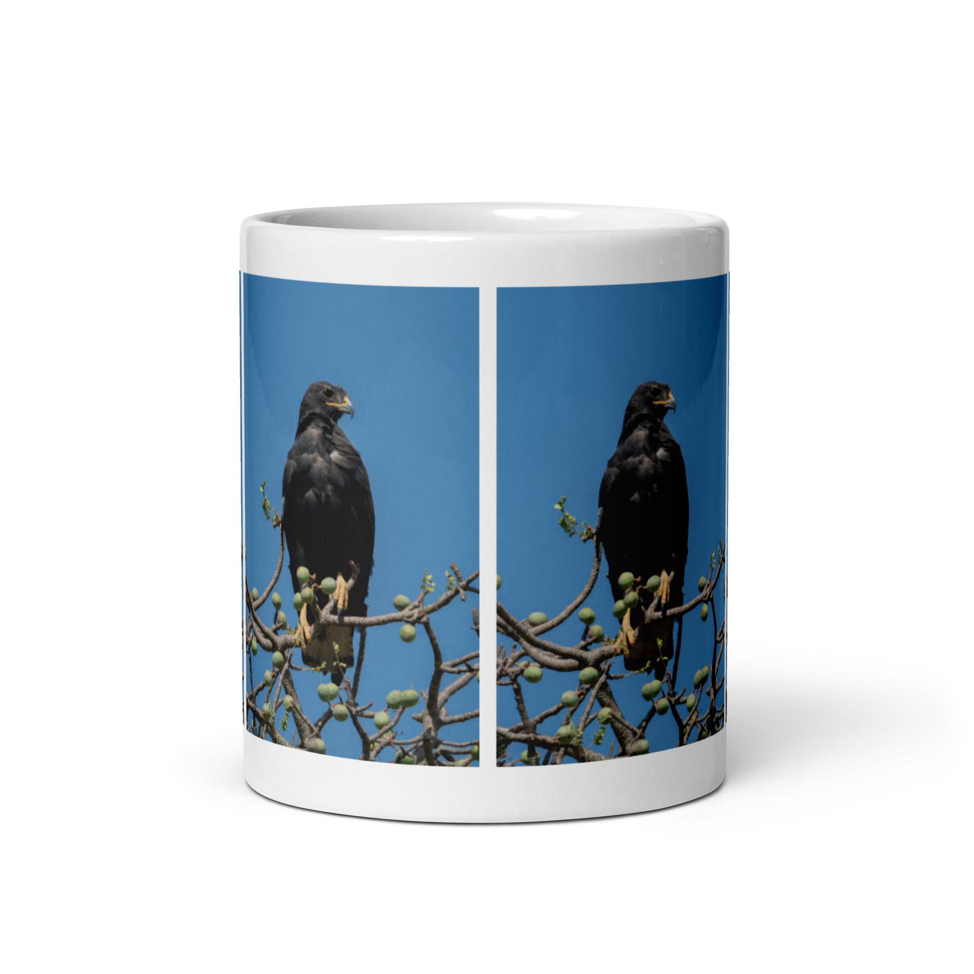 "Verreaux's Eagle Mug #1: The Cliffside King (Ceramic)"