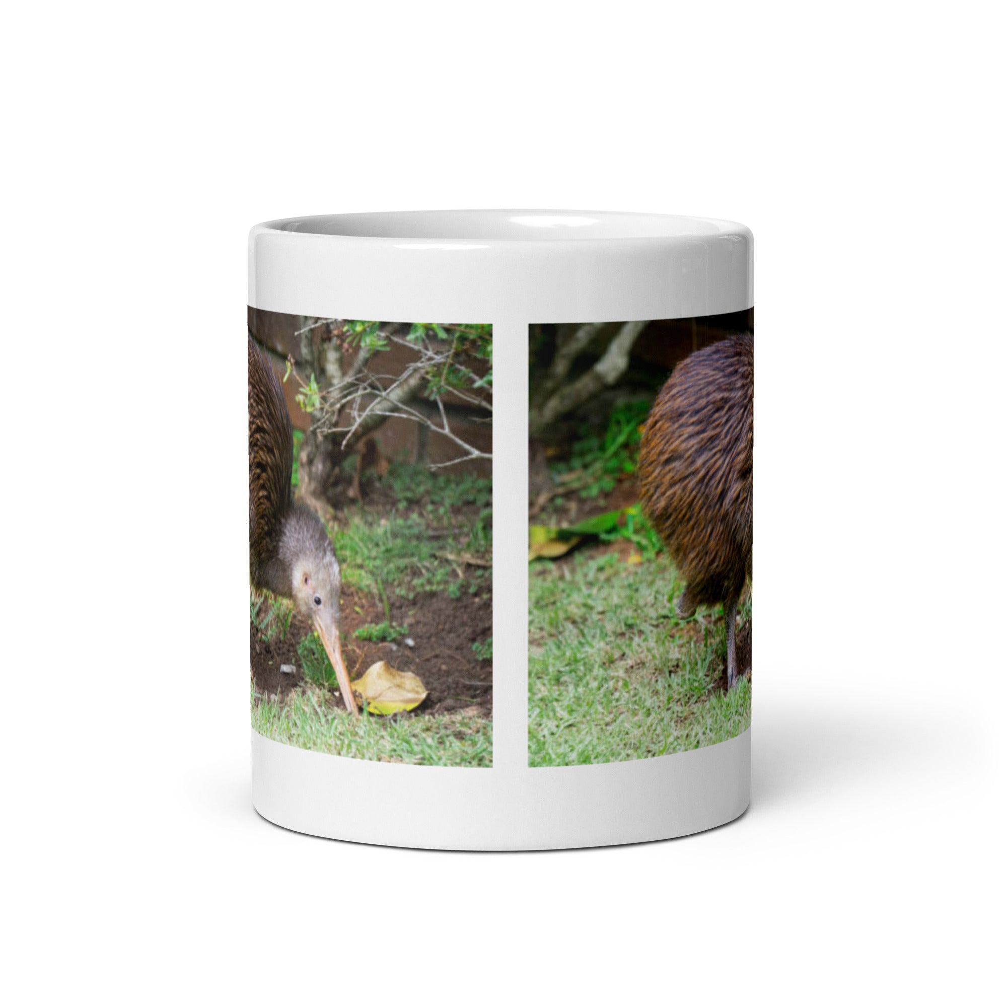 "Kiwi Mug #1: The Nocturnal Explorer (Ceramic)"