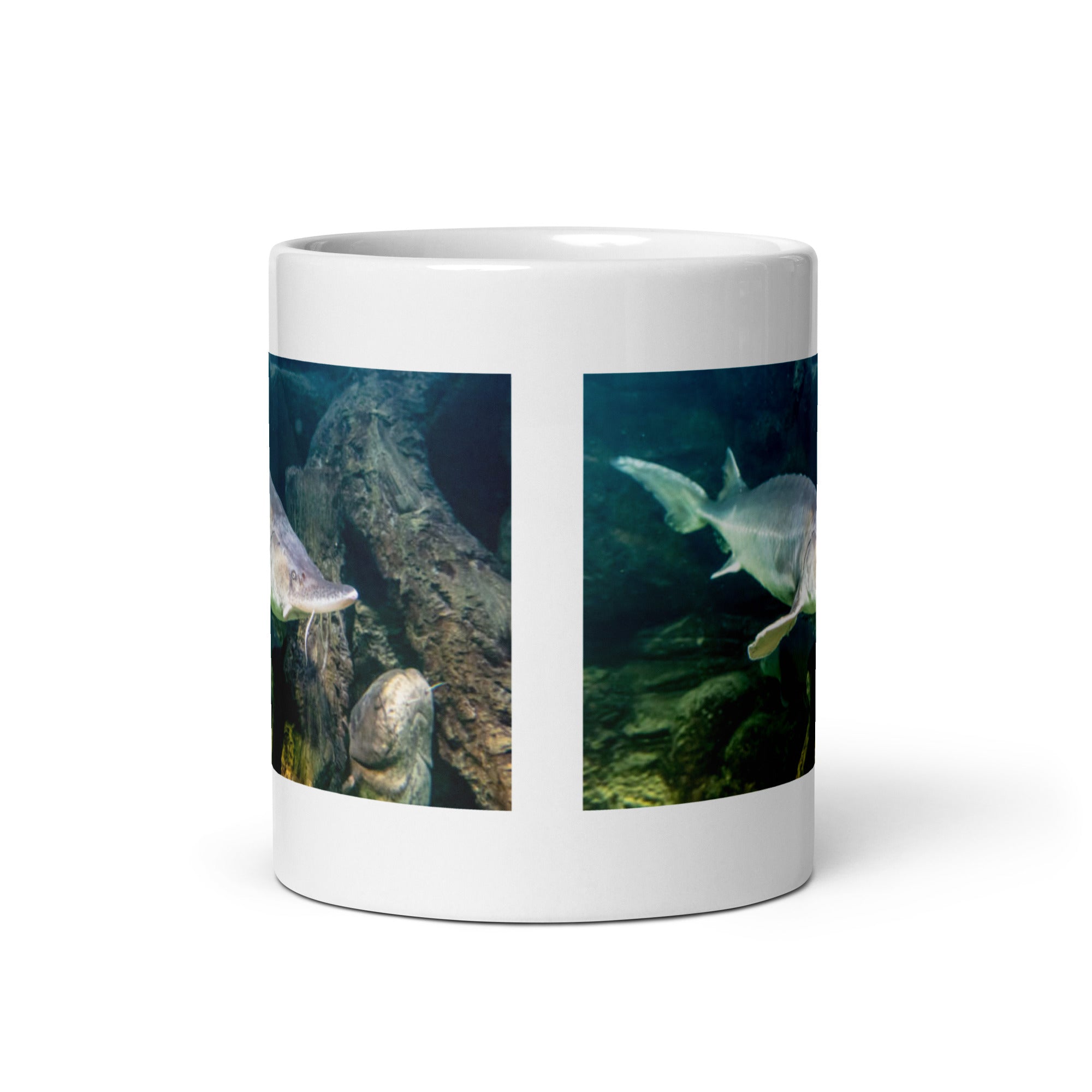 "Sturgeon Mug #1: The Ancient River Giant (Ceramic)"