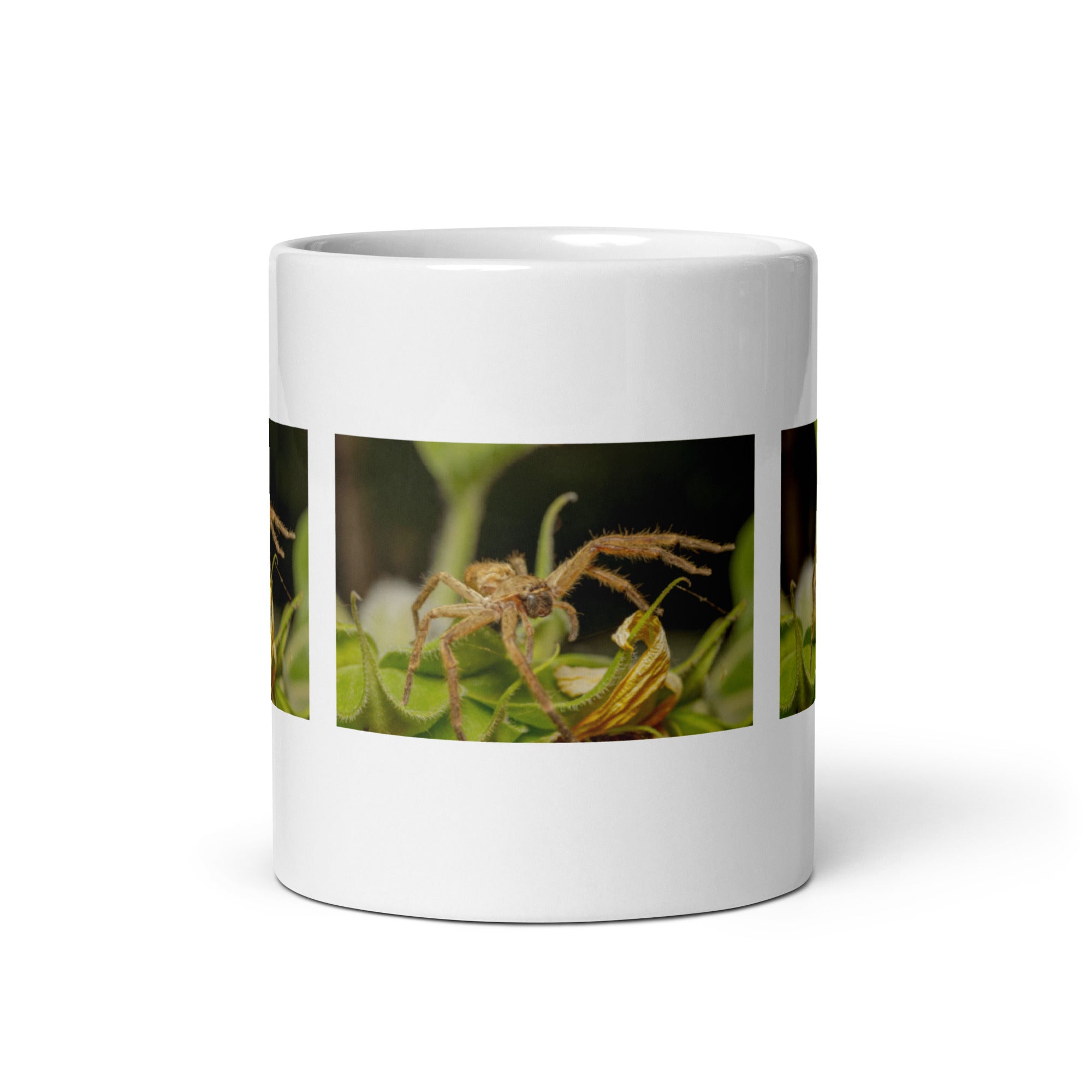 "Spider Mug #1: The Web-Spinning Weaver (Ceramic)"