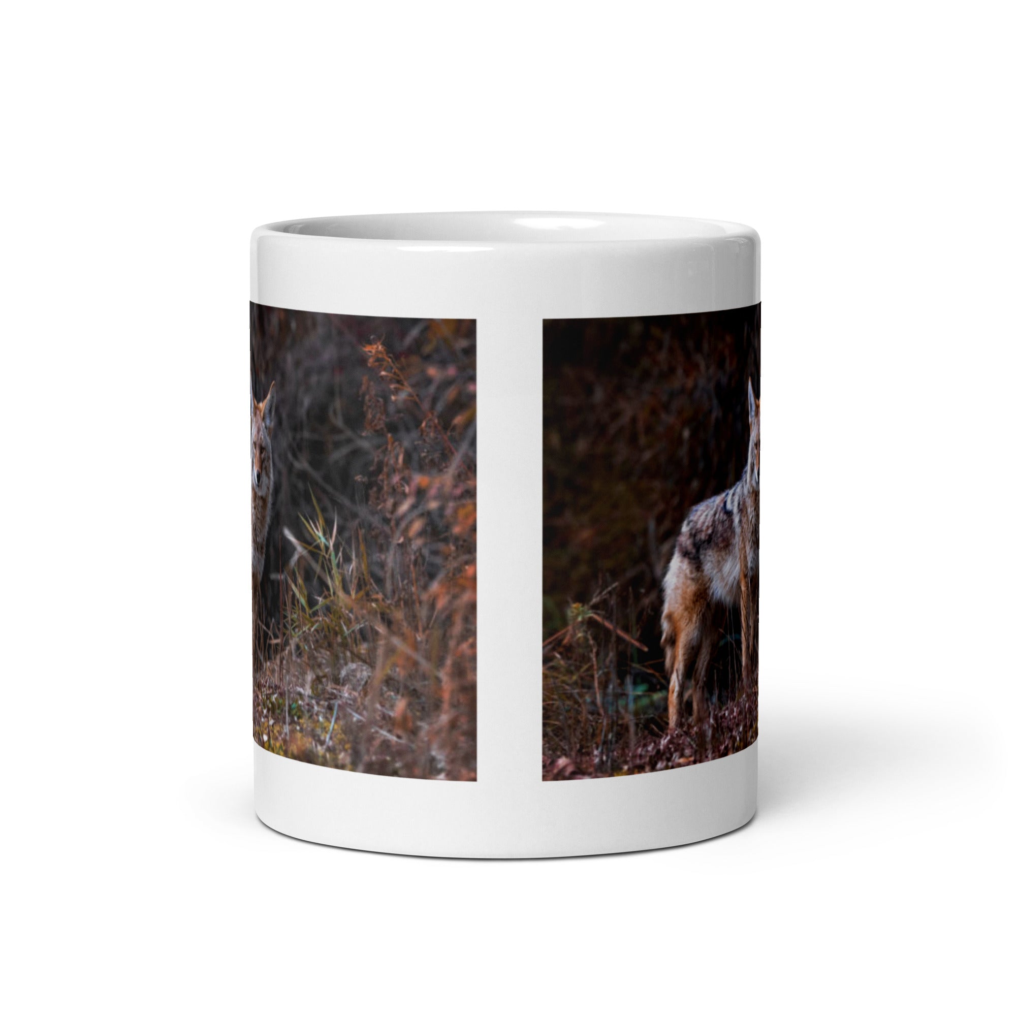 "Coyote Mug #1: The Adaptable Songdog (Ceramic)"