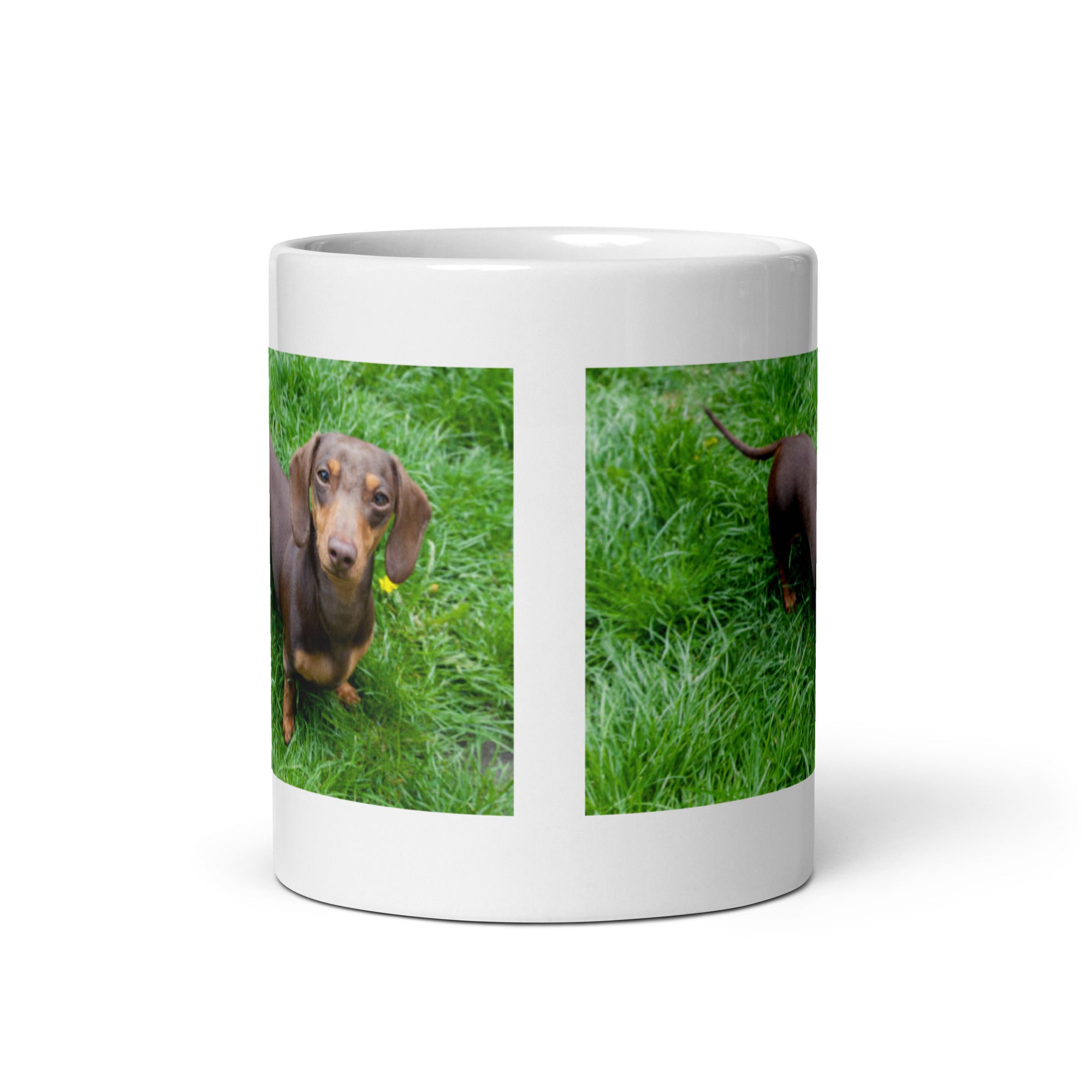 "Dachshund Mug #1: The Short-legged Sniffer (Ceramic)"