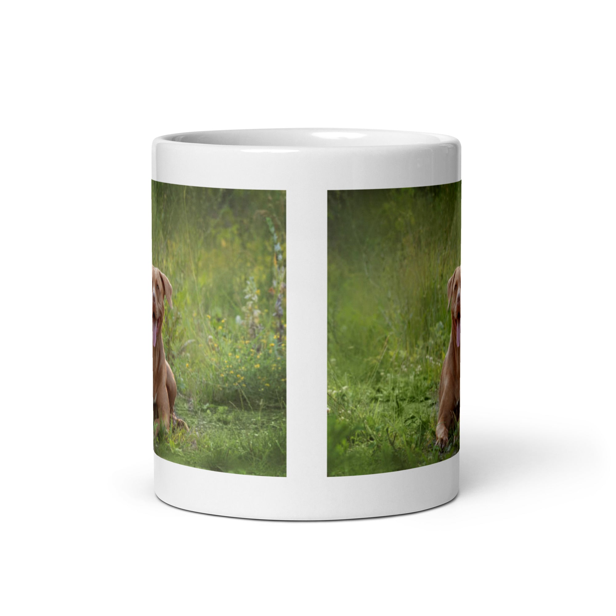 "Pit Bull Terrier Mug #1: The Loyal & Loving Companion (Ceramic)"