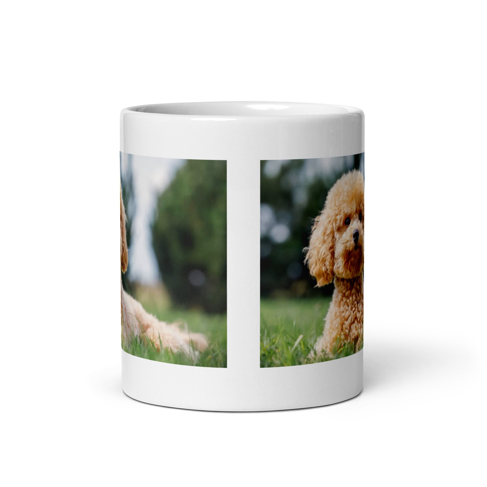 "Poodle Mug #1: The Intelligent Showstopper (Ceramic)"