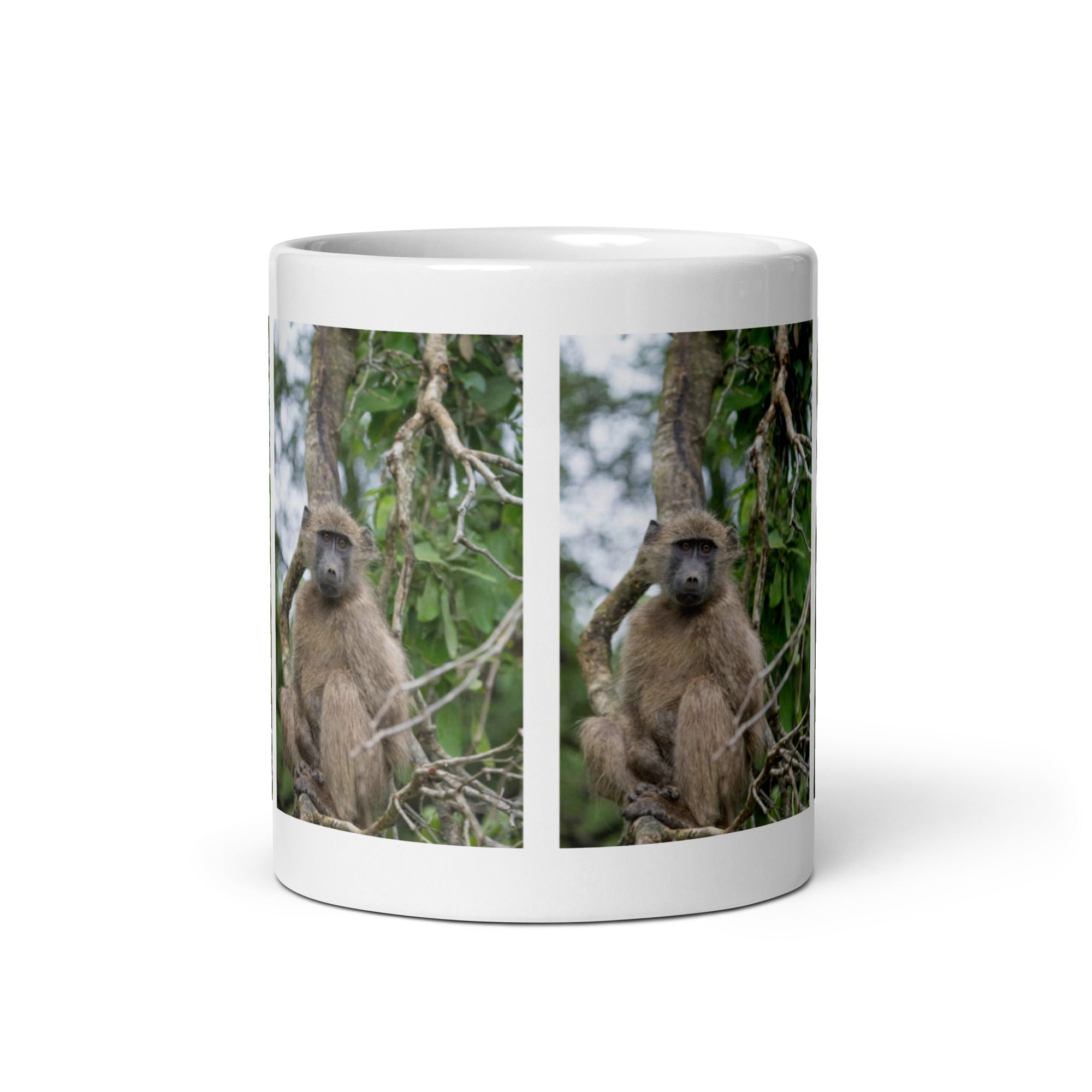 "Chacma Baboon Mug #1: The Adaptable Forager (Ceramic)"