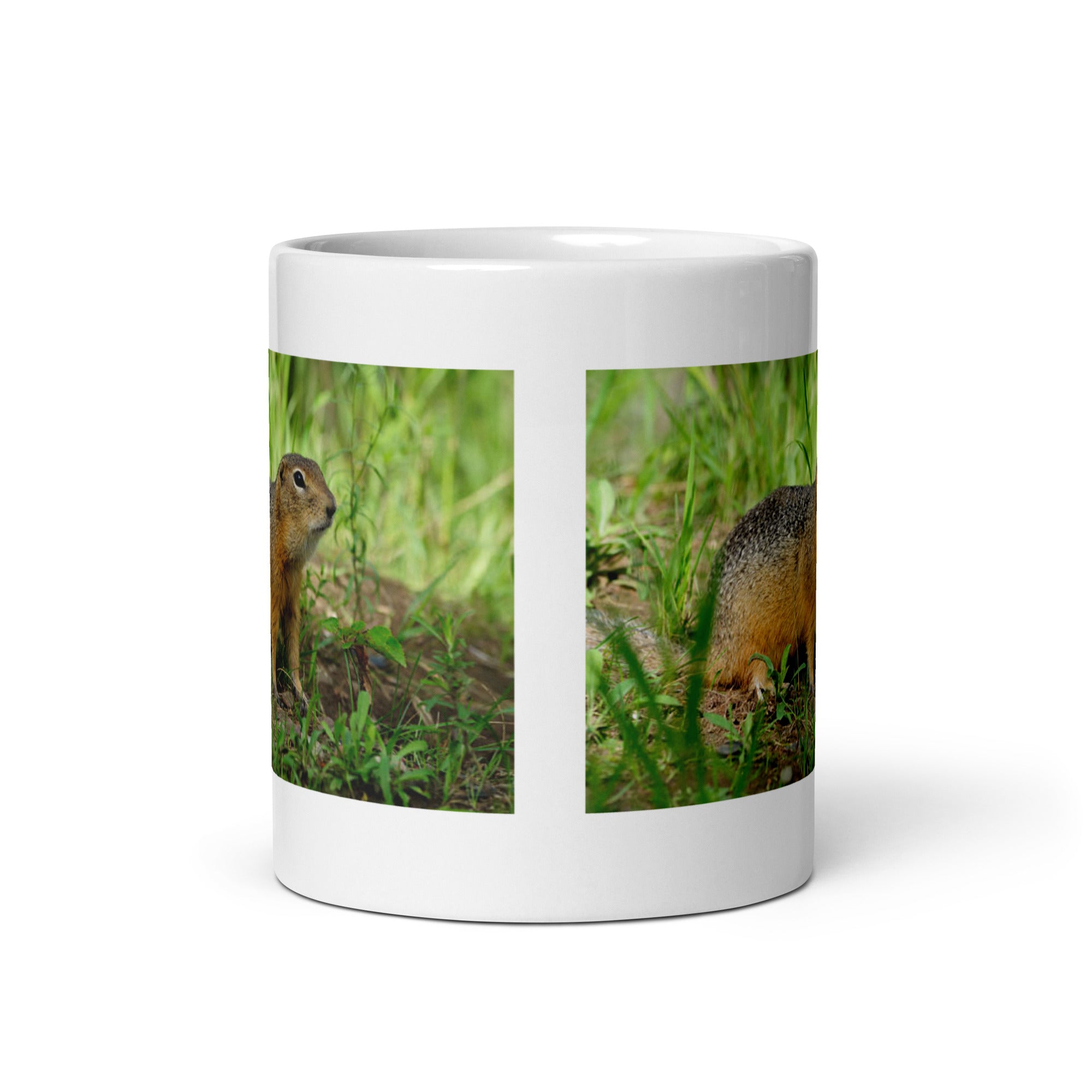 "Groundhog Mug #1: The Prognosticating Burrow-dweller (Ceramic)"