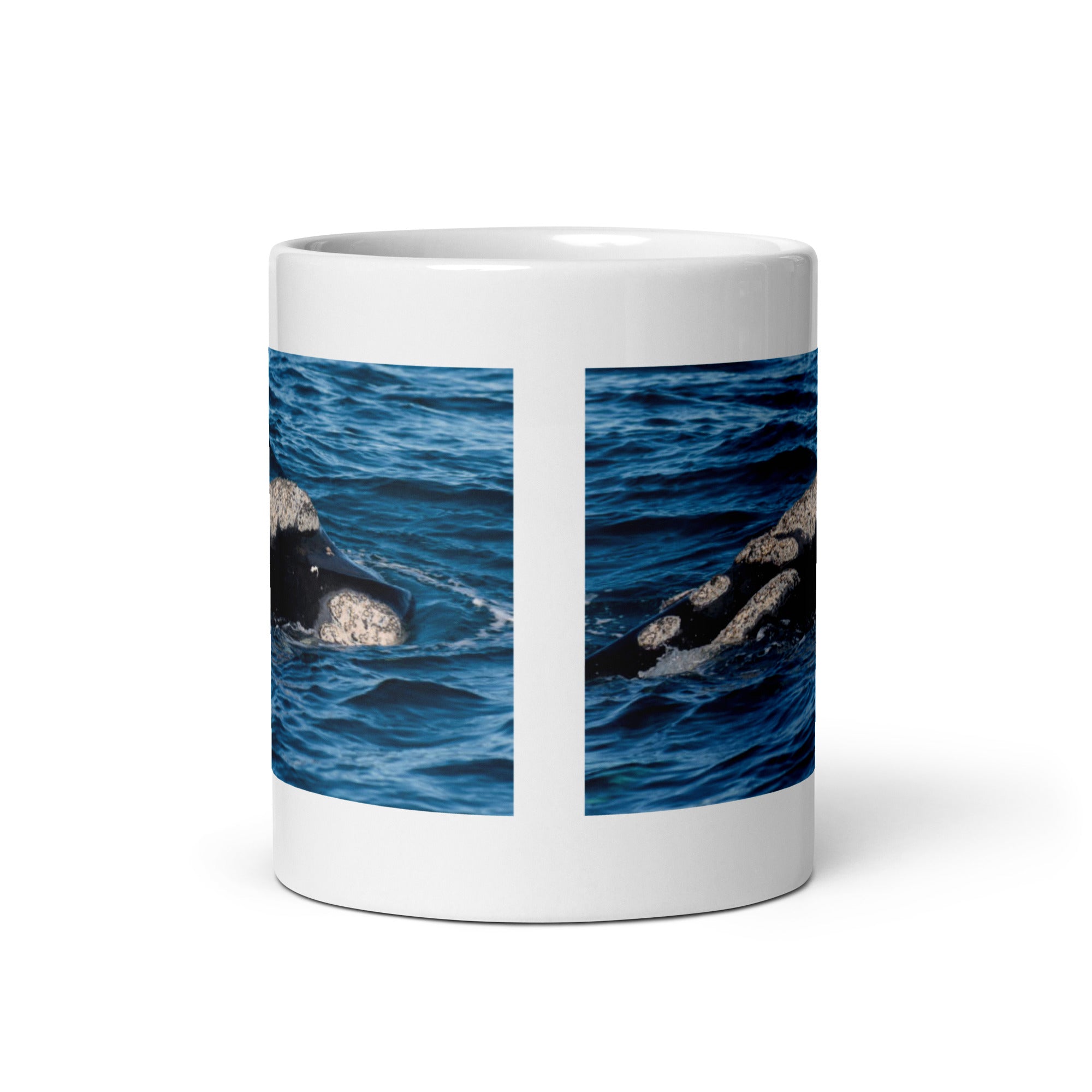 Southern Right Whale Mug #1: The Callosities Connoisseur (Ceramic)