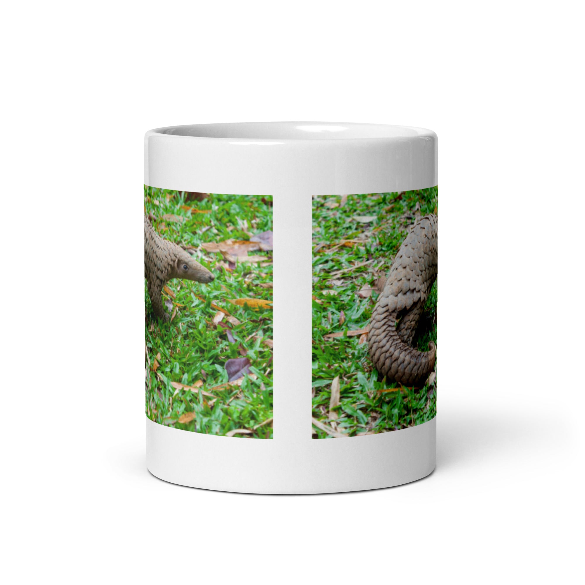 Pangolin Mug #1: The Scaly Anteater (Ceramic)