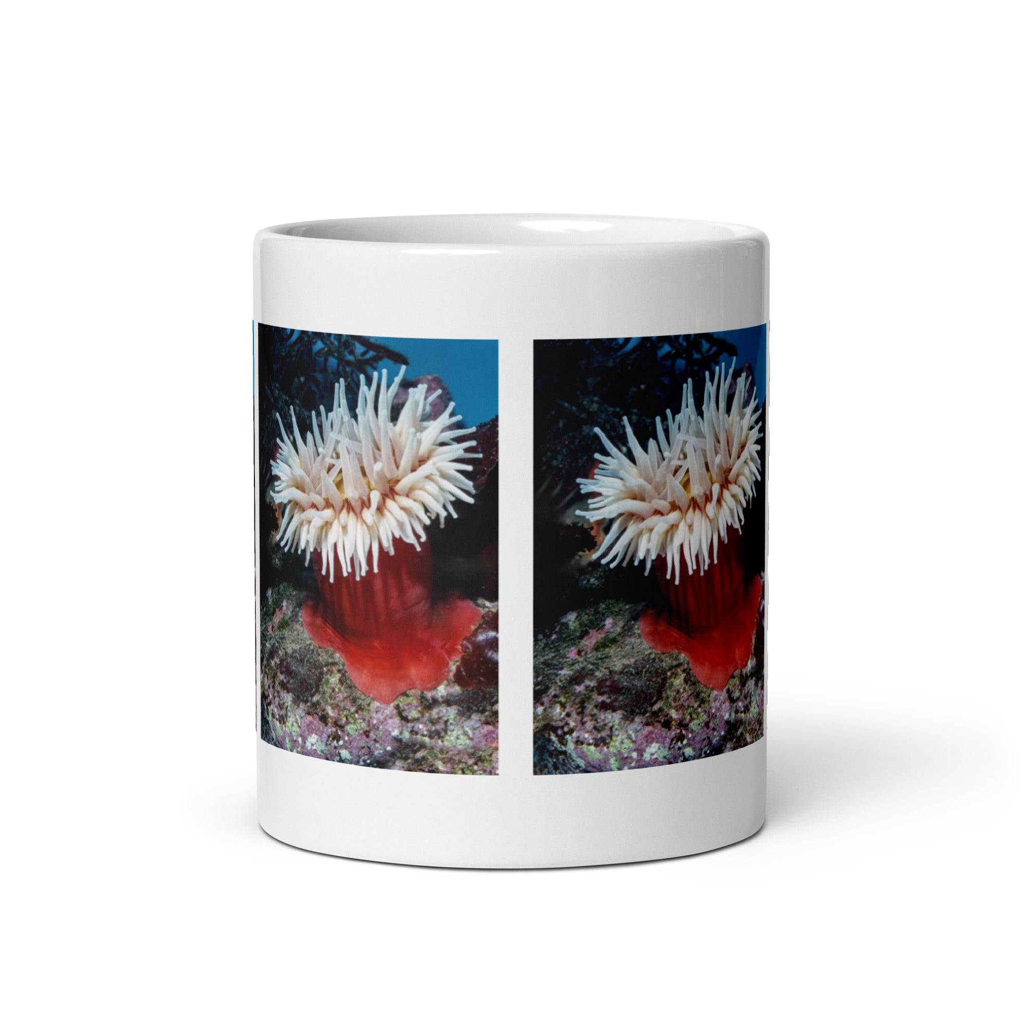 Sea Anemone Mug #1: The Flower of the Sea (Ceramic)