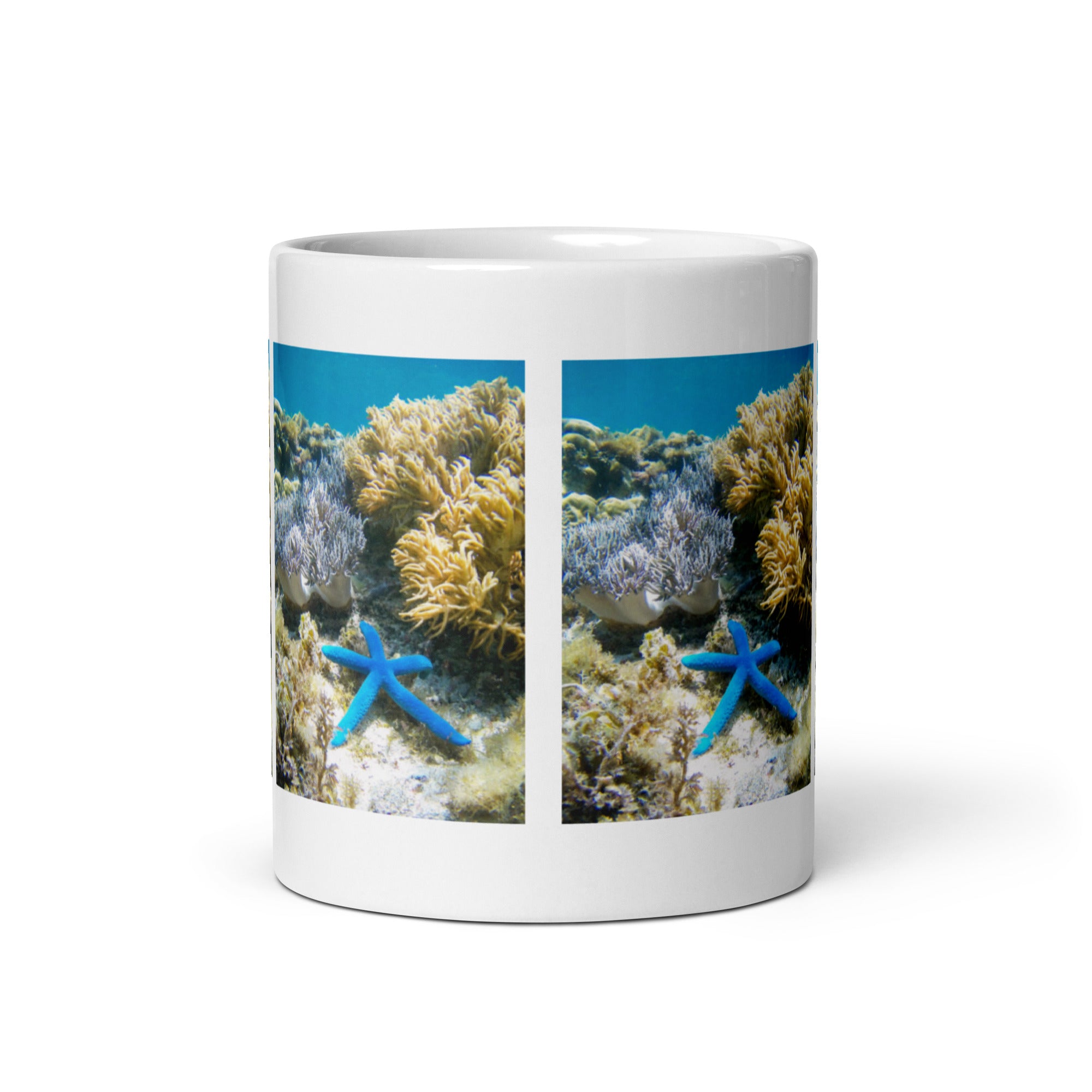 Sea Star Mug #1: The Regenerating Wonder (Ceramic)