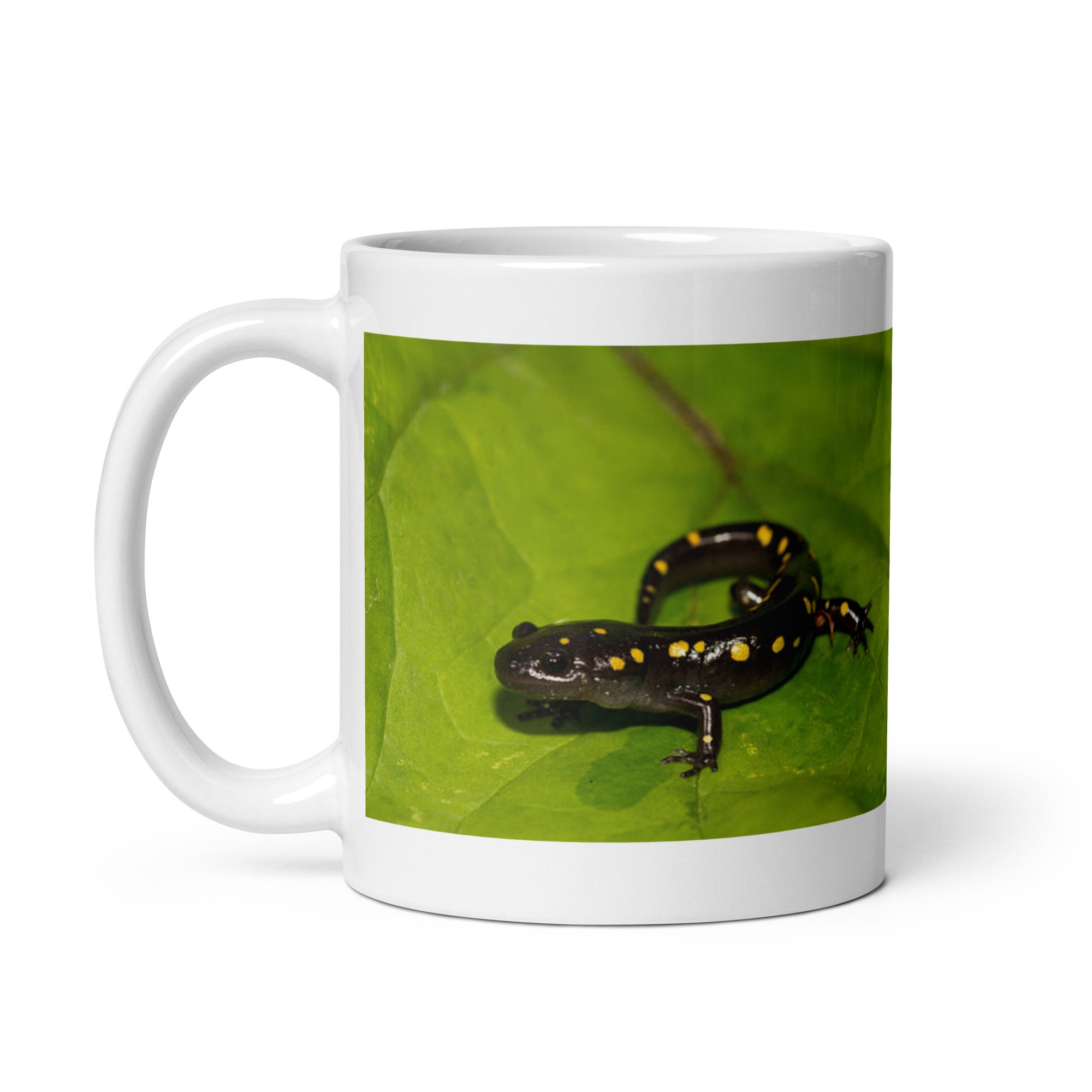 "Salamander Mug #1: Embrace the Mystical Ambiance (Ceramic)"