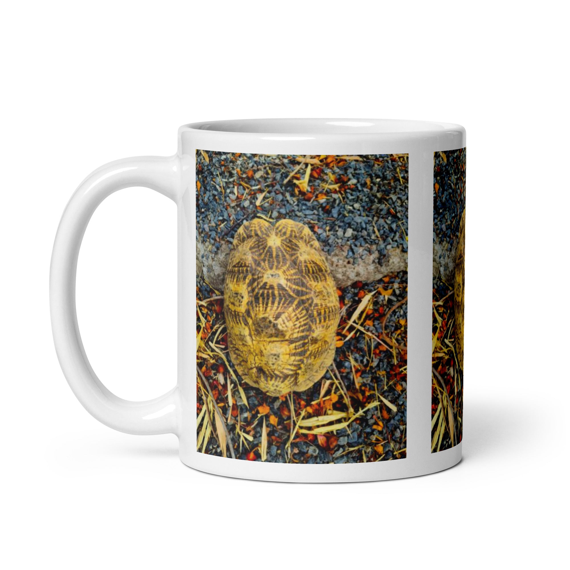 "Geometric Tortoise Mug #1:  Elegance of Nature’s Geometry  (Ceramic)"