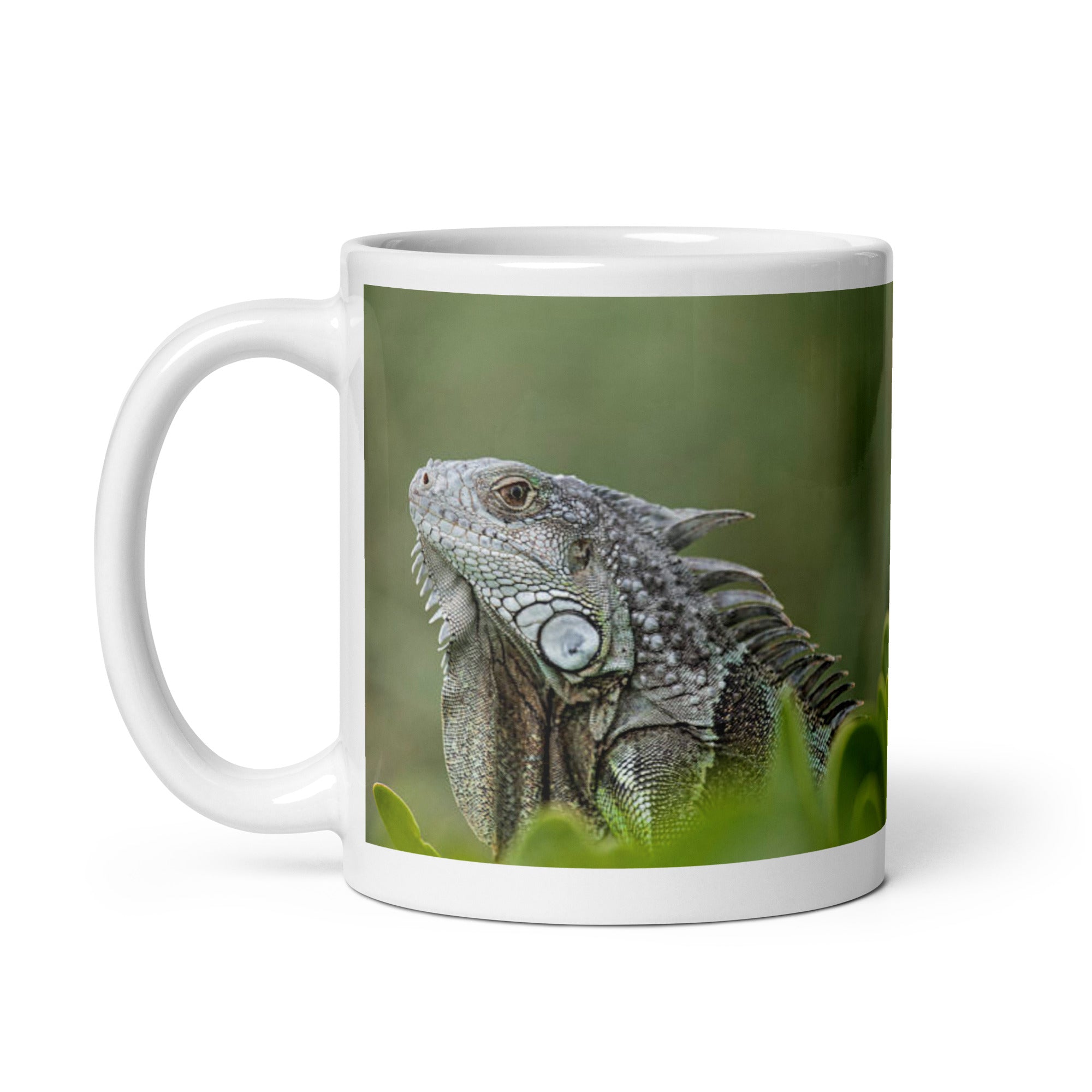 "Iguana Mug #1: Grace and Serenity of the Tropics (Ceramic)"