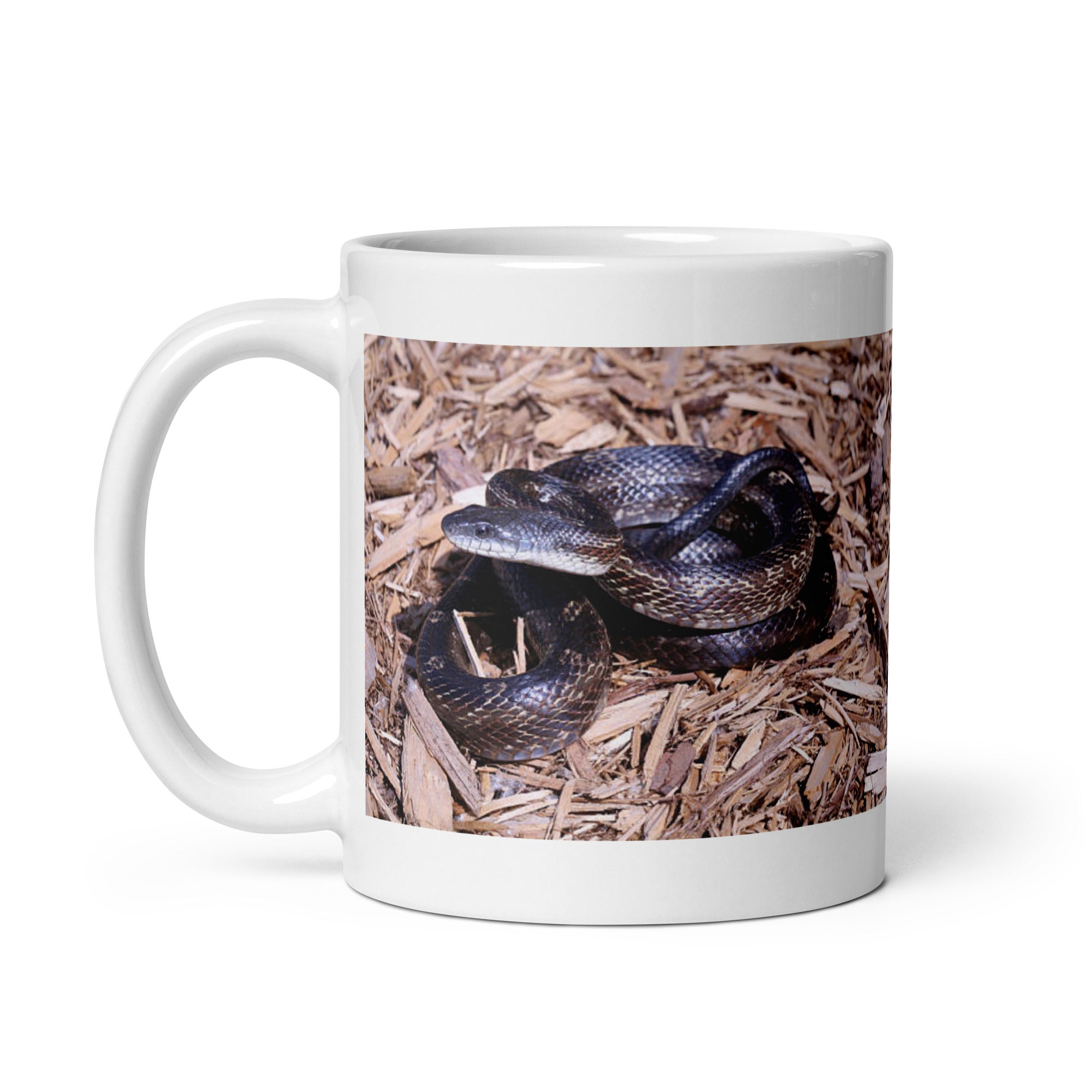 "Rat Snake  Mug #1: Grace and Adaptability of the Wild  (Ceramic)"