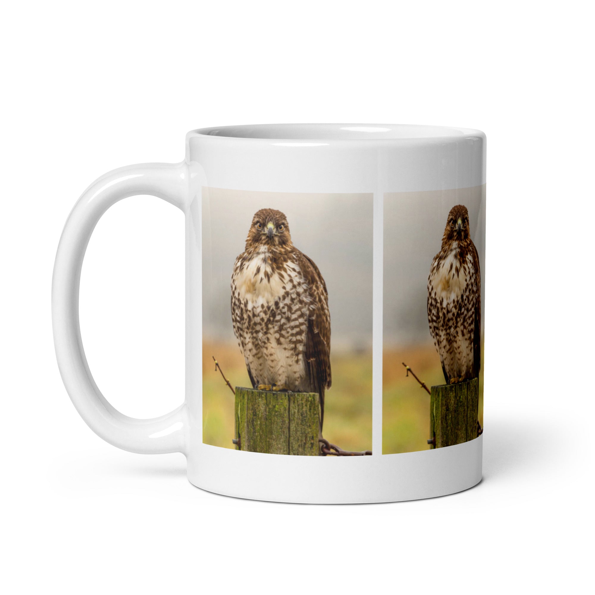 "Hawk Mug #1: The Sharp-Eyed Hunter (Ceramic)"