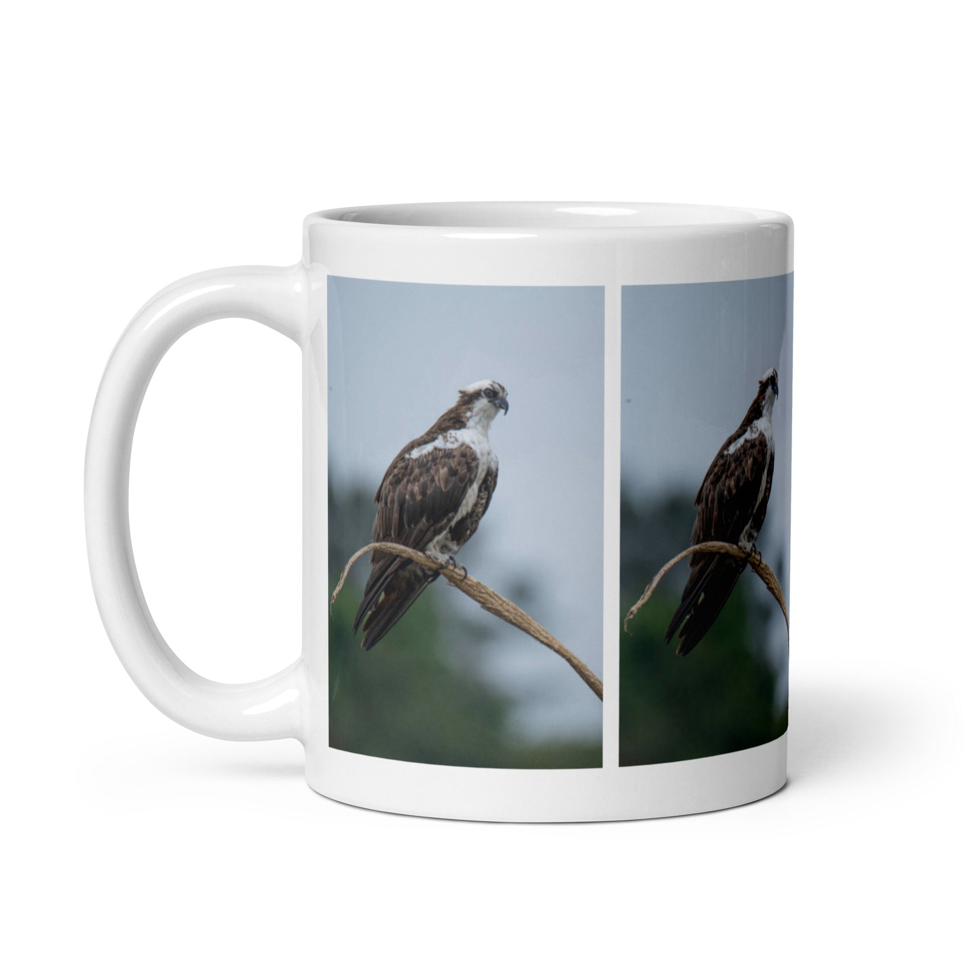 "Osprey Mug #1: The Daring Diver (Ceramic)"