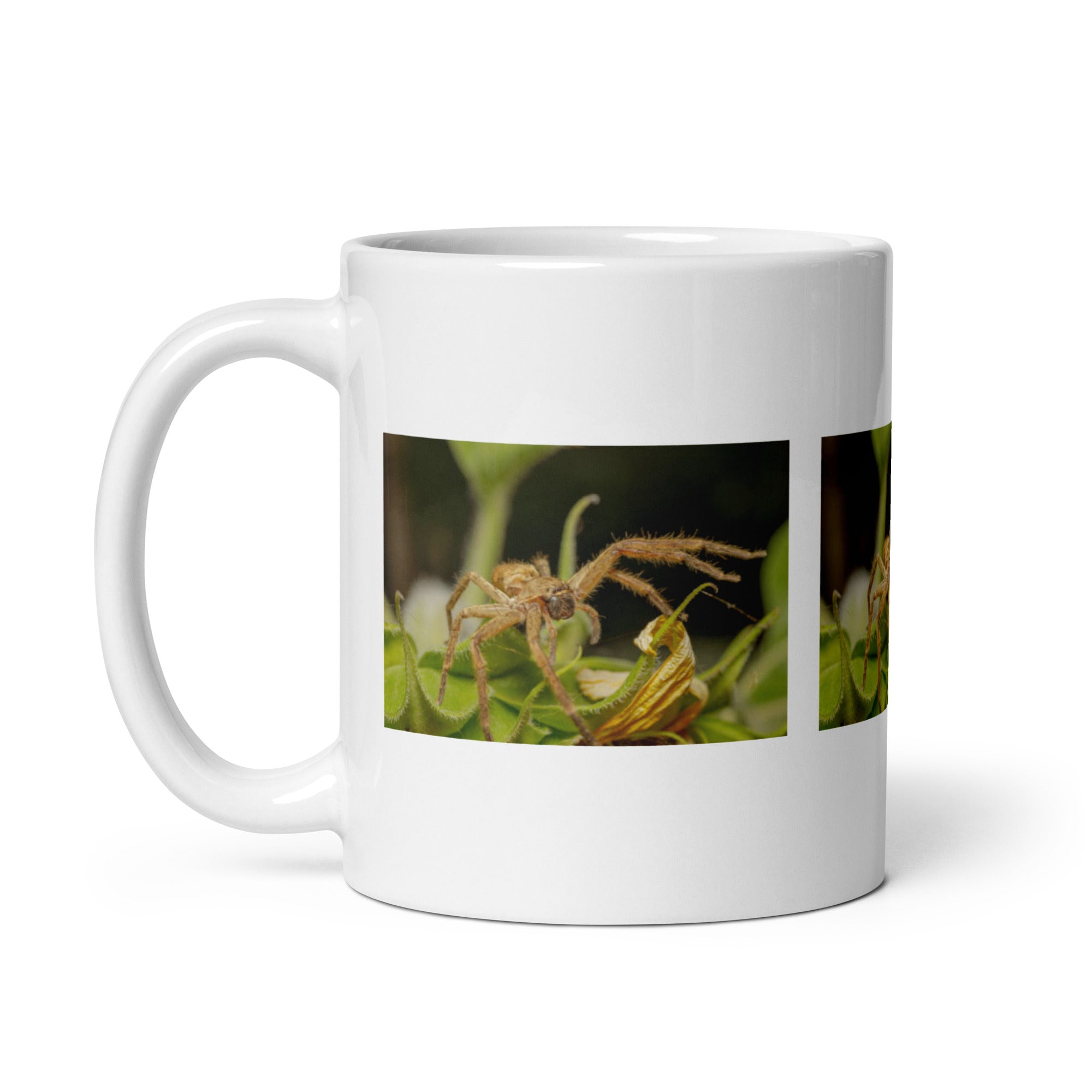 "Spider Mug #1: The Web-Spinning Weaver (Ceramic)"