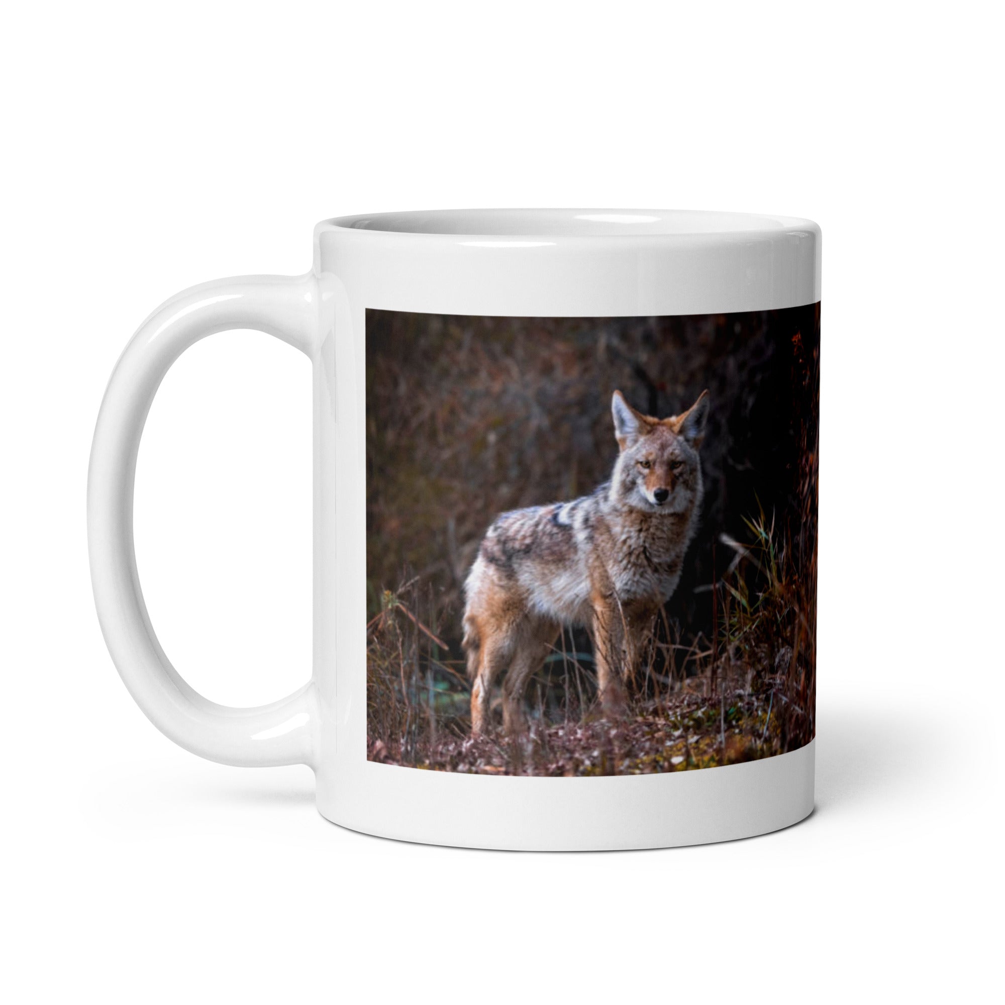 "Coyote Mug #1: The Adaptable Songdog (Ceramic)"