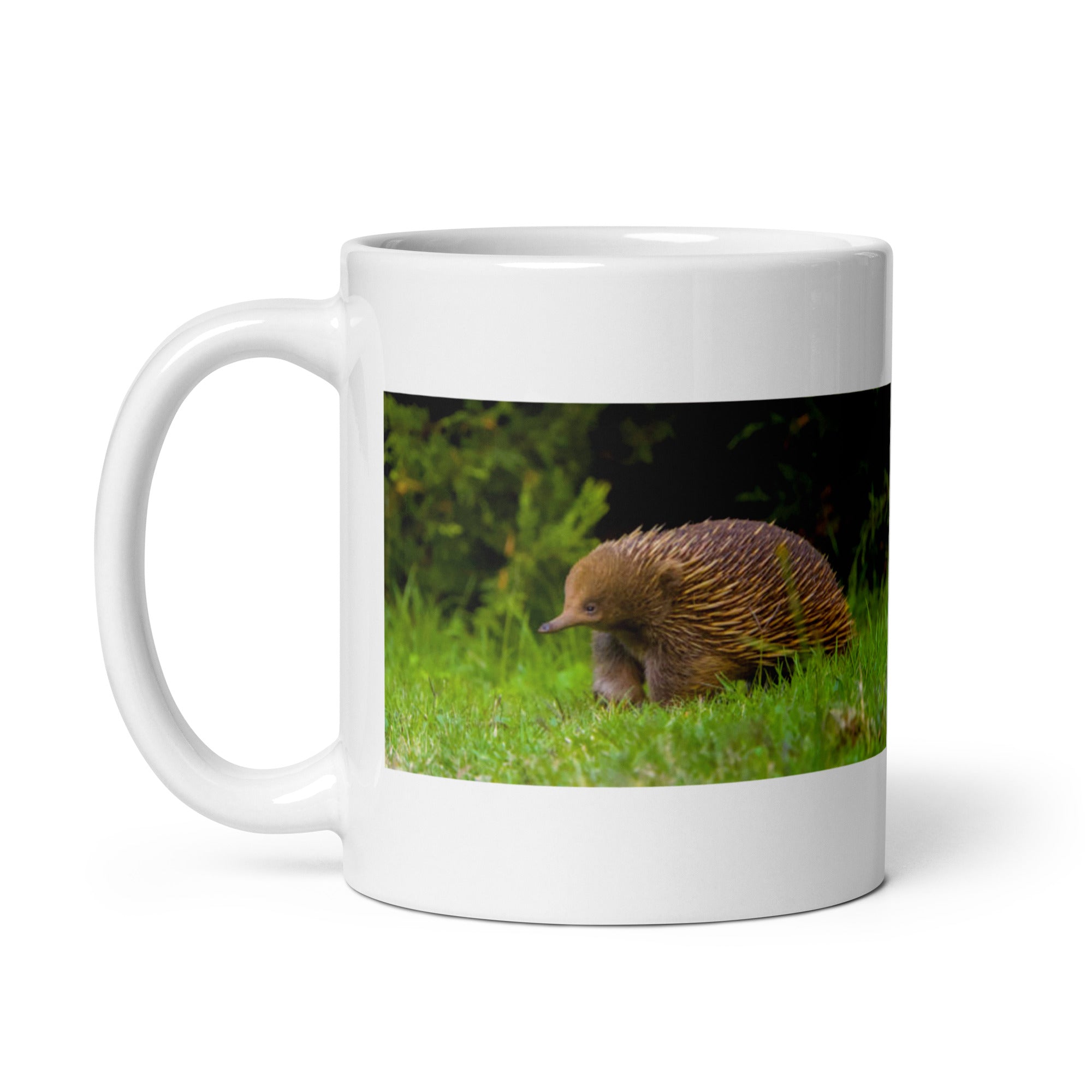 "Echidna Mug #1: The Spiny Anteater (Ceramic)"