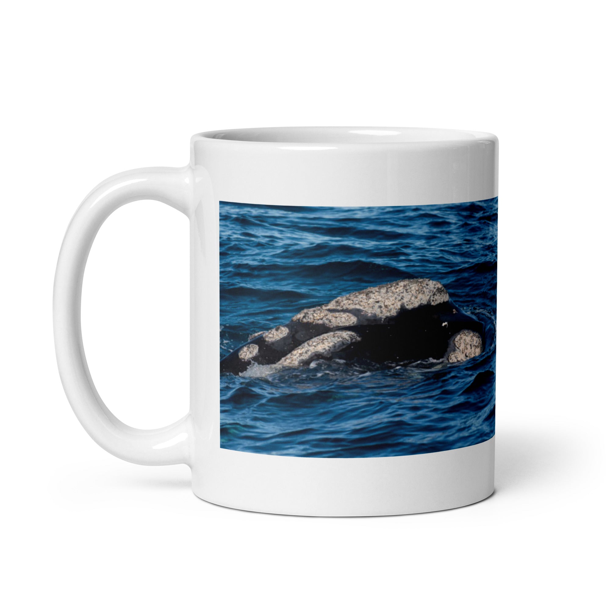 Southern Right Whale Mug #1: The Callosities Connoisseur (Ceramic)