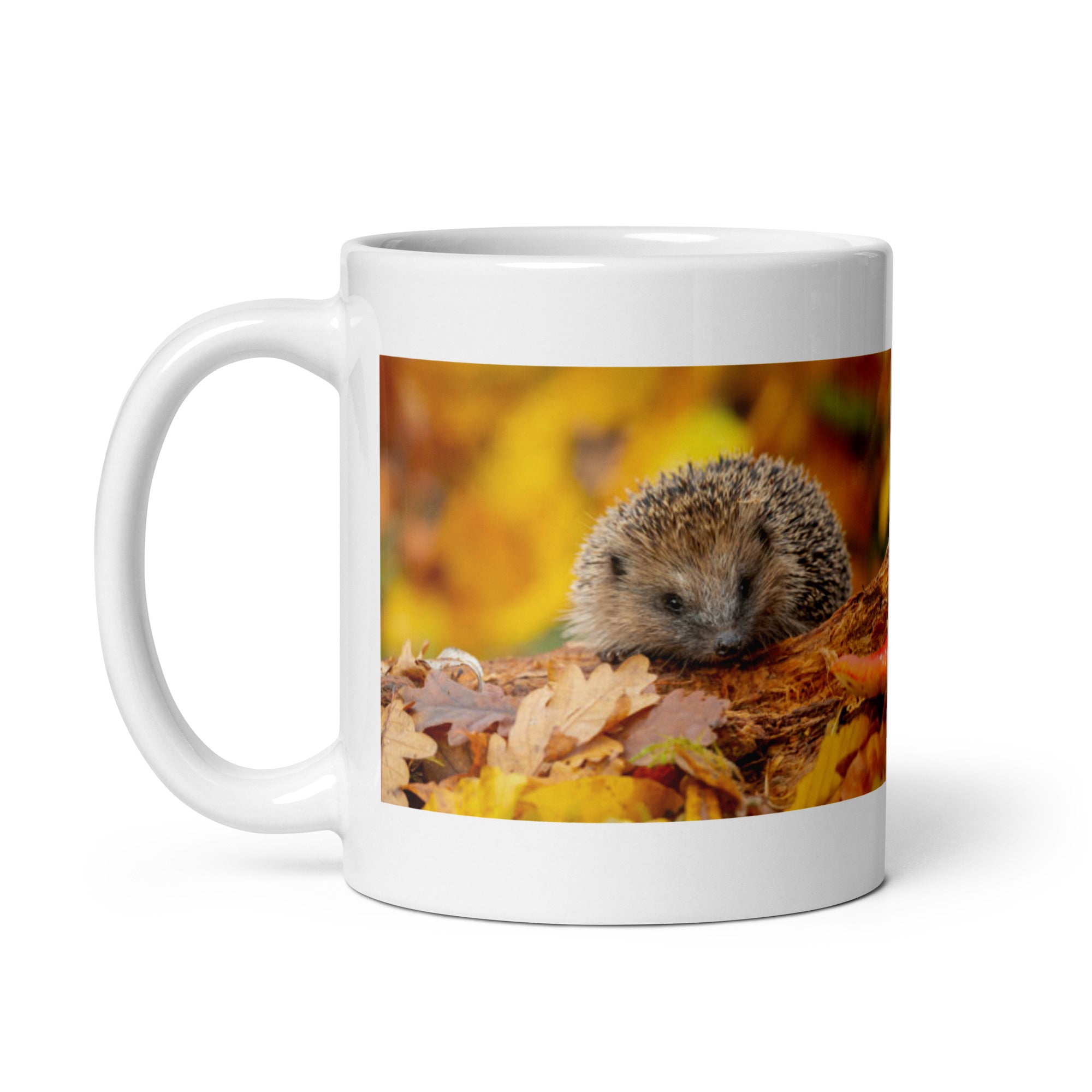 Hedgehog Mug #1: The Prickly Protector (Ceramic)