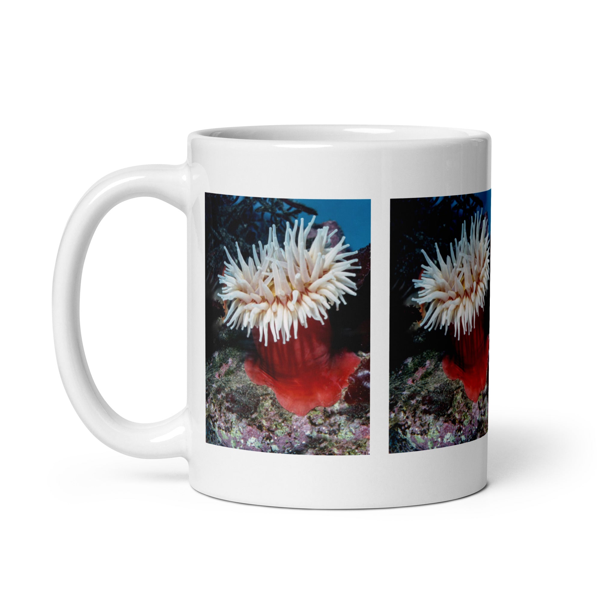 Sea Anemone Mug #1: The Flower of the Sea (Ceramic)