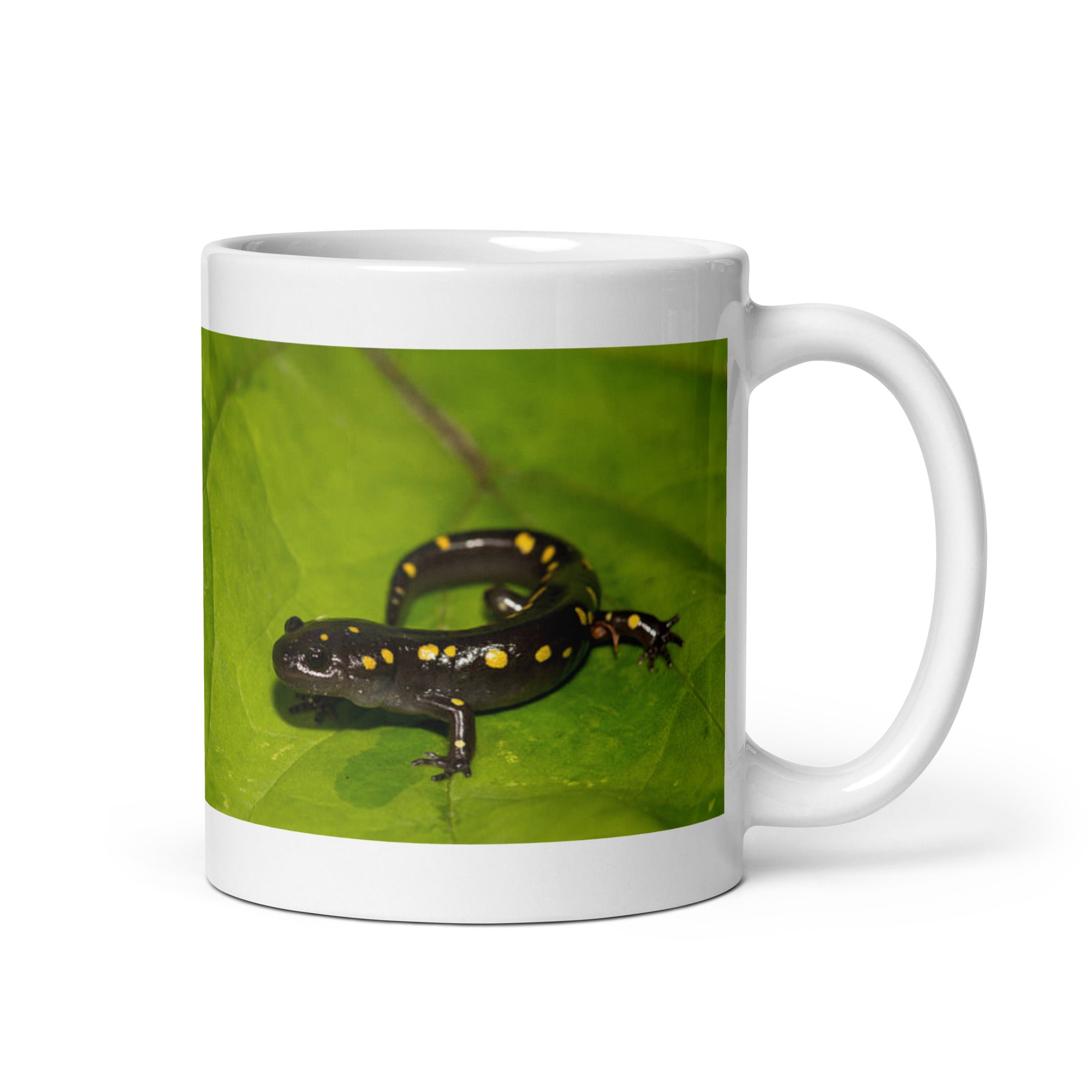 "Salamander Mug #1: Embrace the Mystical Ambiance (Ceramic)"