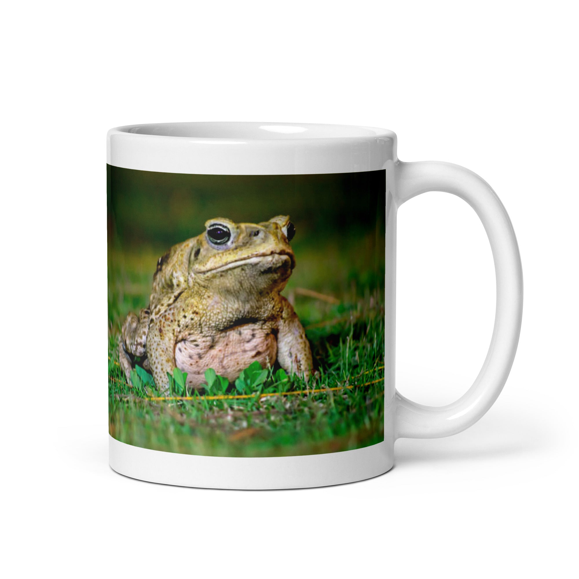 "Toad Mug #1: Celebrate the Wise (Ceramic)"