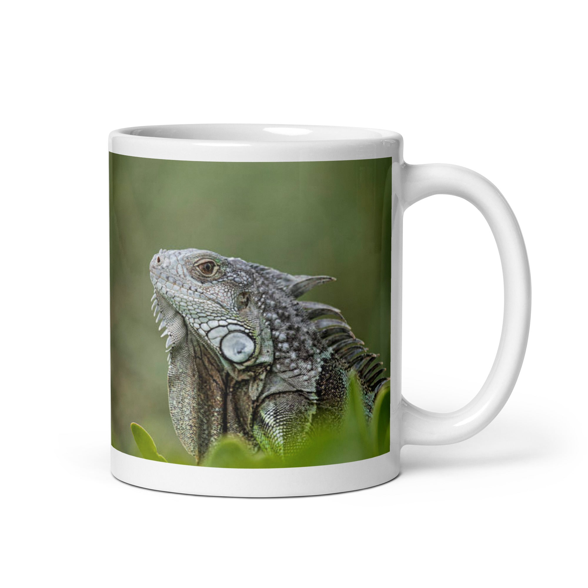 "Iguana Mug #1: Grace and Serenity of the Tropics (Ceramic)" - 0